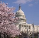 Recap of RAWA House Subcommittee Hearing and What It Means for iGaming