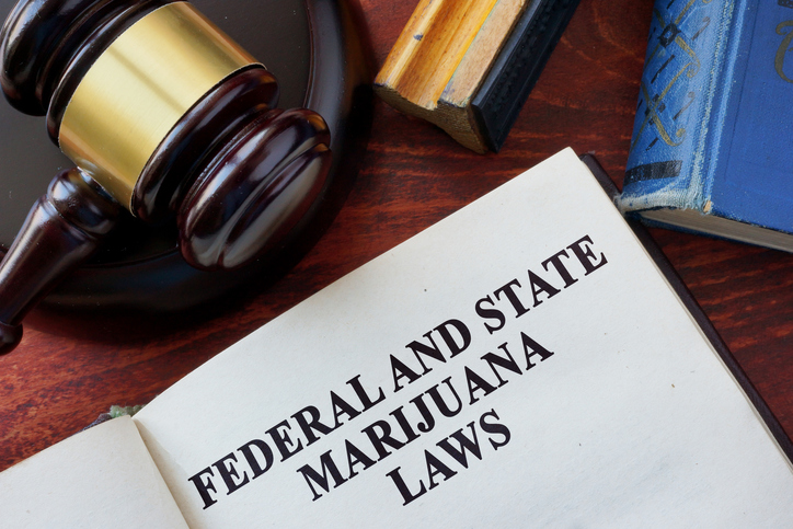 Federal and State Marijuana Laws and gavel.