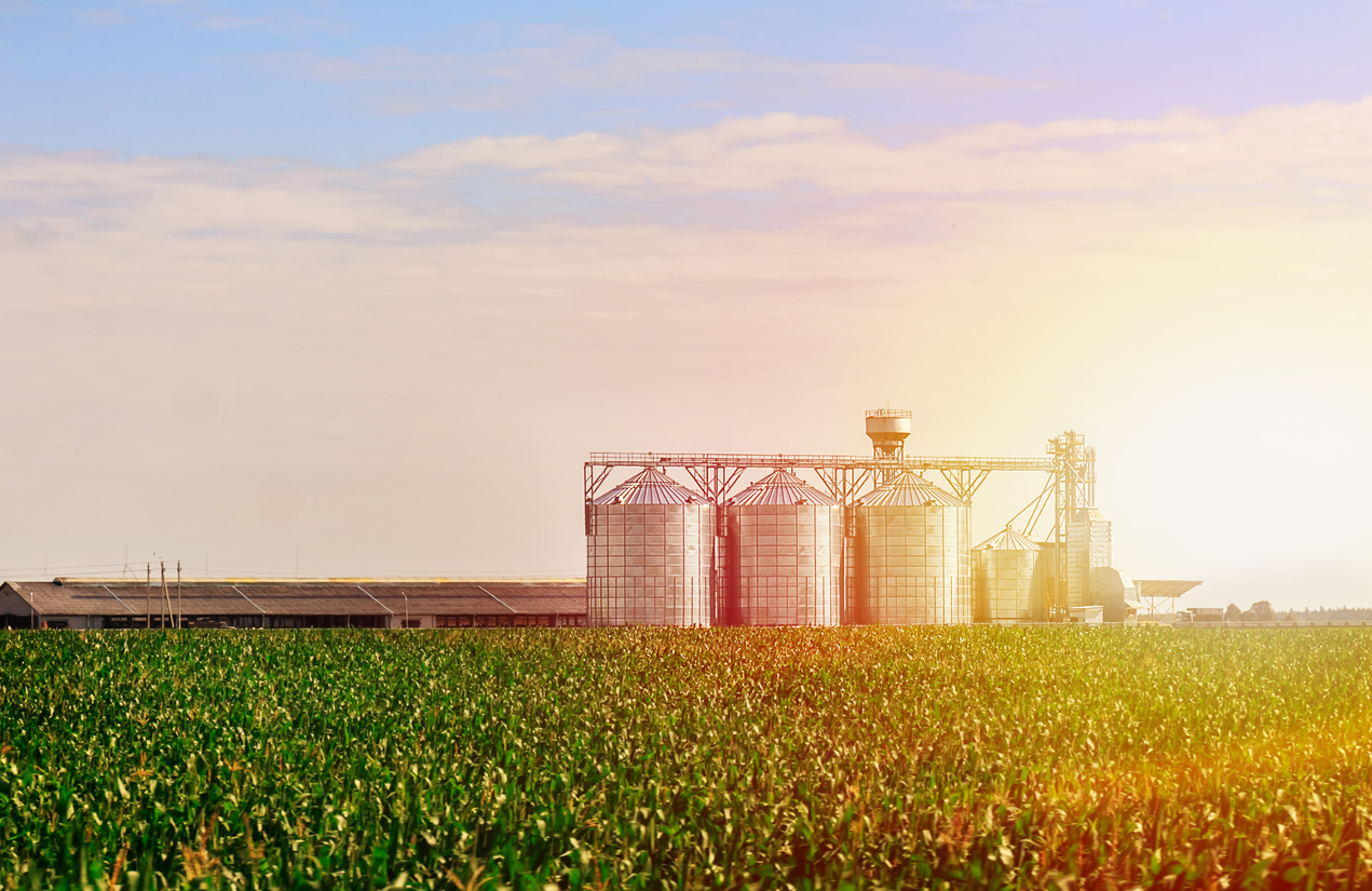Passage of the 2018 Farm Bill: America’s Amber Waves of Grain Turn Green. What Does It Mean For CBD Oil Products and Advertising?