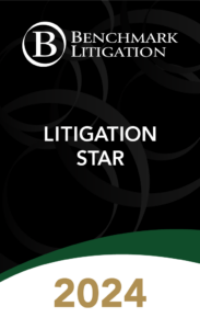 Benchmark Litigation Award - Litigation Star 2024