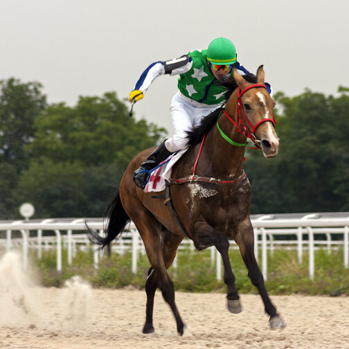 Horse Racing of the prize Derby in Pyatigorsk.
