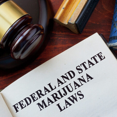 Federal and State Marijuana Laws and gavel.