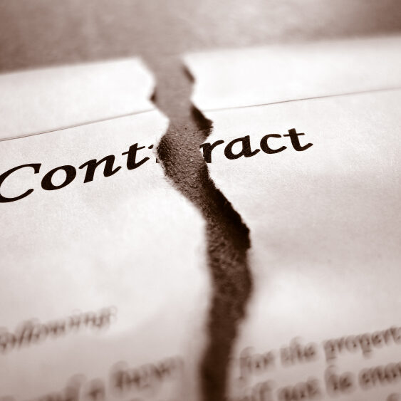 Closeup of torn legal contract